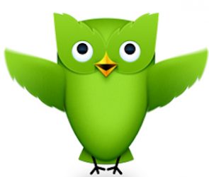 Duolingo logo Online, Ücretsiz, Dil Eğitimi - İngilizce - Almanca - Fransızca - Vs