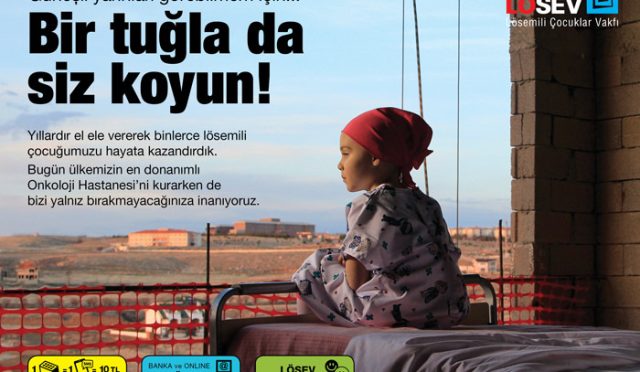 losev-bir-tuglada-siz-koyun