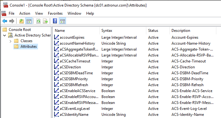 Active-Directory-Yeni-Attribute-Oznitelik-Ekleme-Nasil-Yapilir