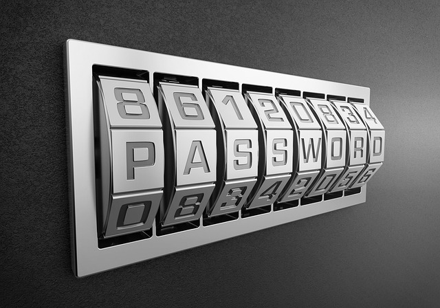 password-logo